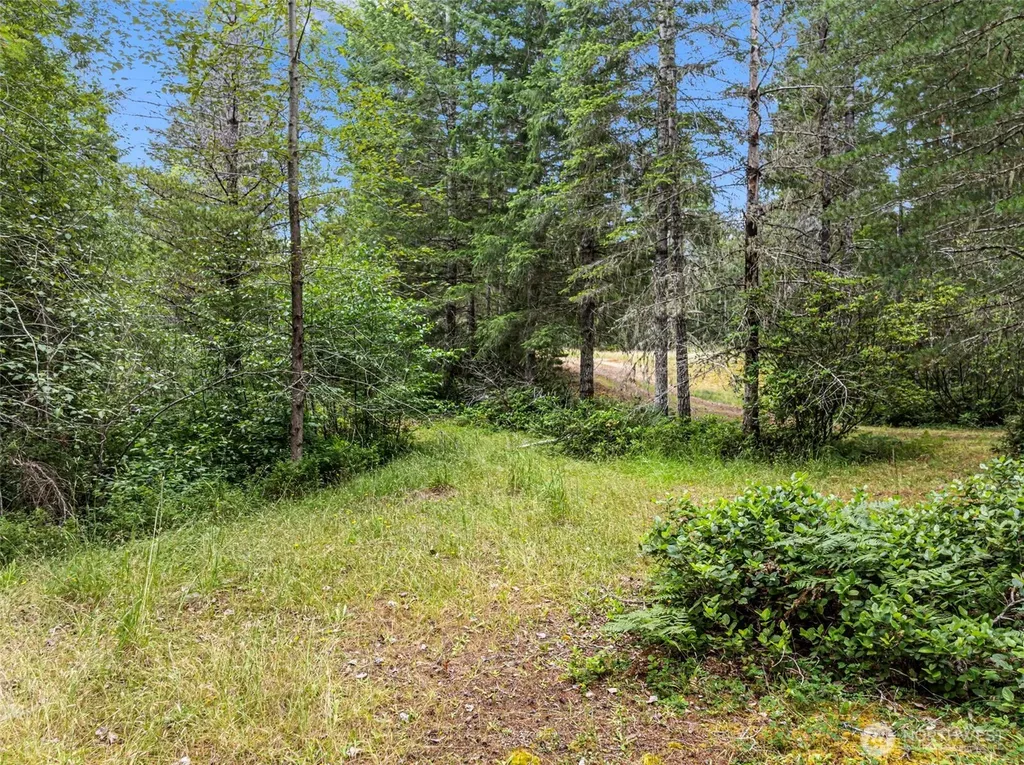 80 NE Smithy Forge Lane Belfair WA 98528