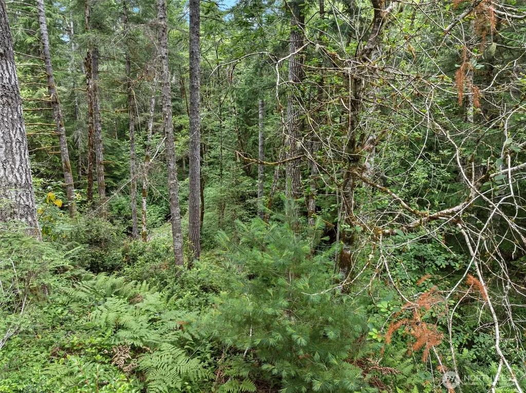 80 NE Smithy Forge Lane Belfair WA 98528