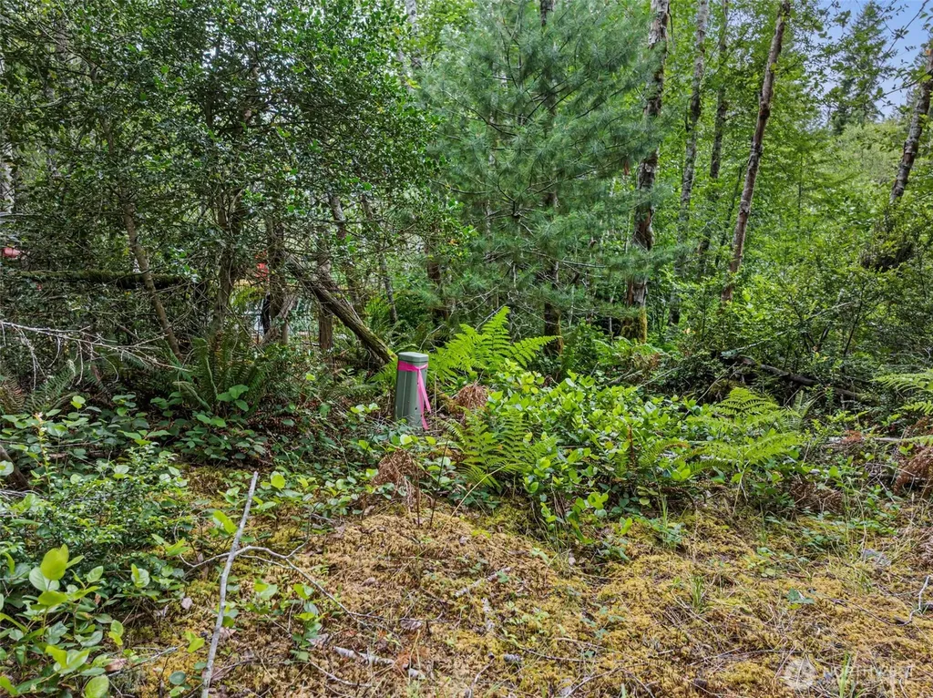 80 NE Smithy Forge Lane Belfair WA 98528