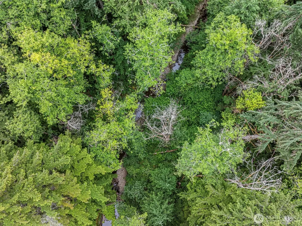 80 NE Smithy Forge Lane Belfair WA 98528