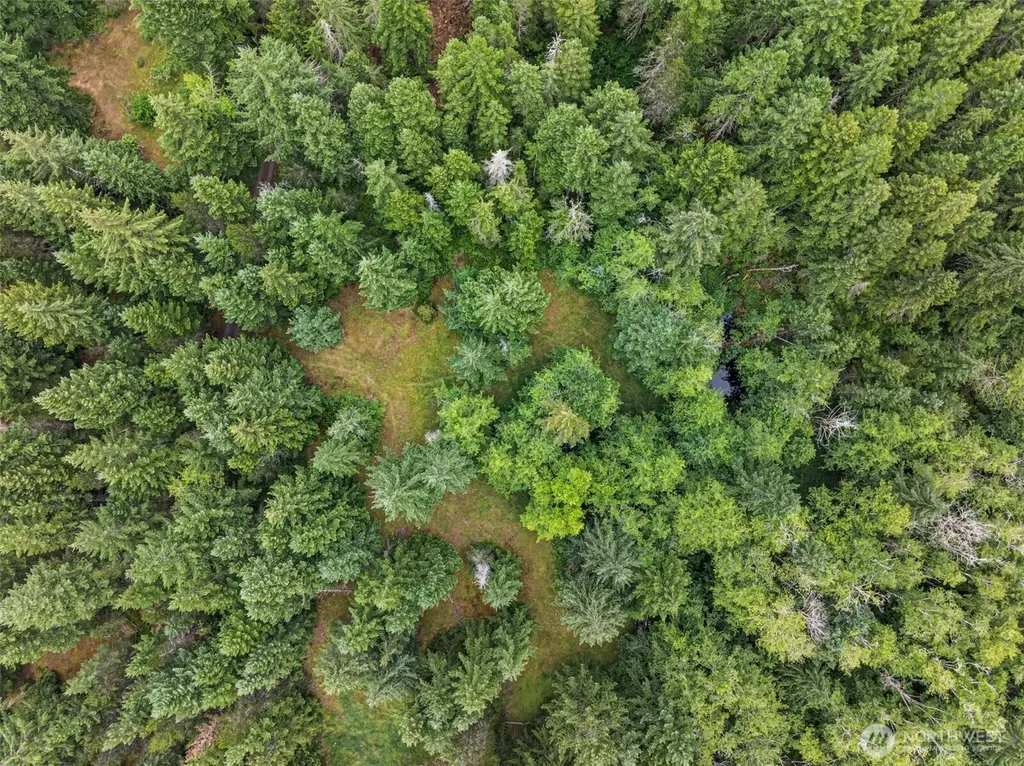 80 NE Smithy Forge Lane Belfair WA 98528