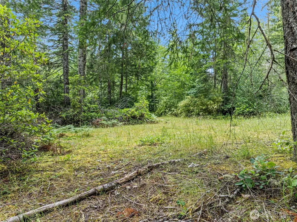 80 NE Smithy Forge Lane Belfair WA 98528