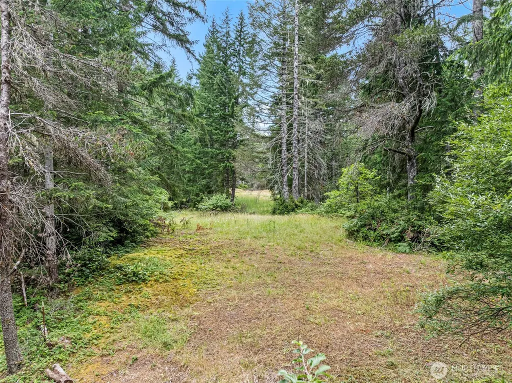 80 NE Smithy Forge Lane Belfair WA 98528
