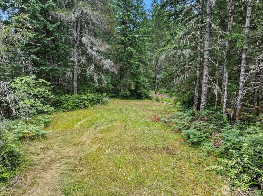 80 NE Smithy Forge Lane Belfair WA 98528