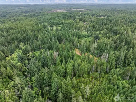 80 NE Smithy Forge Lane Belfair WA 98528