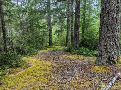 80 NE Smithy Forge Lane Belfair WA 98528