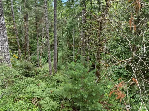 80 NE Smithy Forge Lane Belfair WA 98528