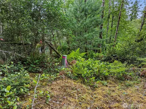 80 NE Smithy Forge Lane Belfair WA 98528