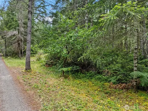 80 NE Smithy Forge Lane Belfair WA 98528