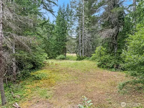 80 NE Smithy Forge Lane Belfair WA 98528