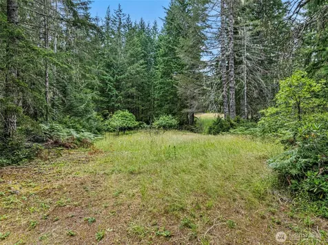 80 NE Smithy Forge Lane Belfair WA 98528