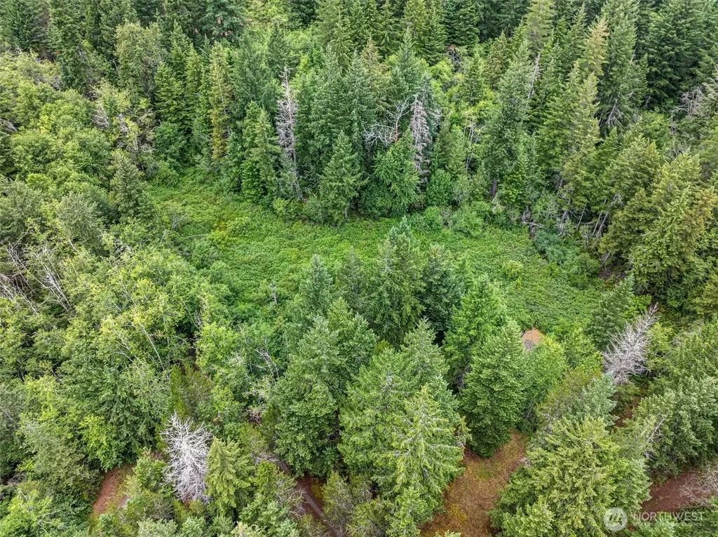 101 NE Smithy Forge Lane Belfair WA 98528