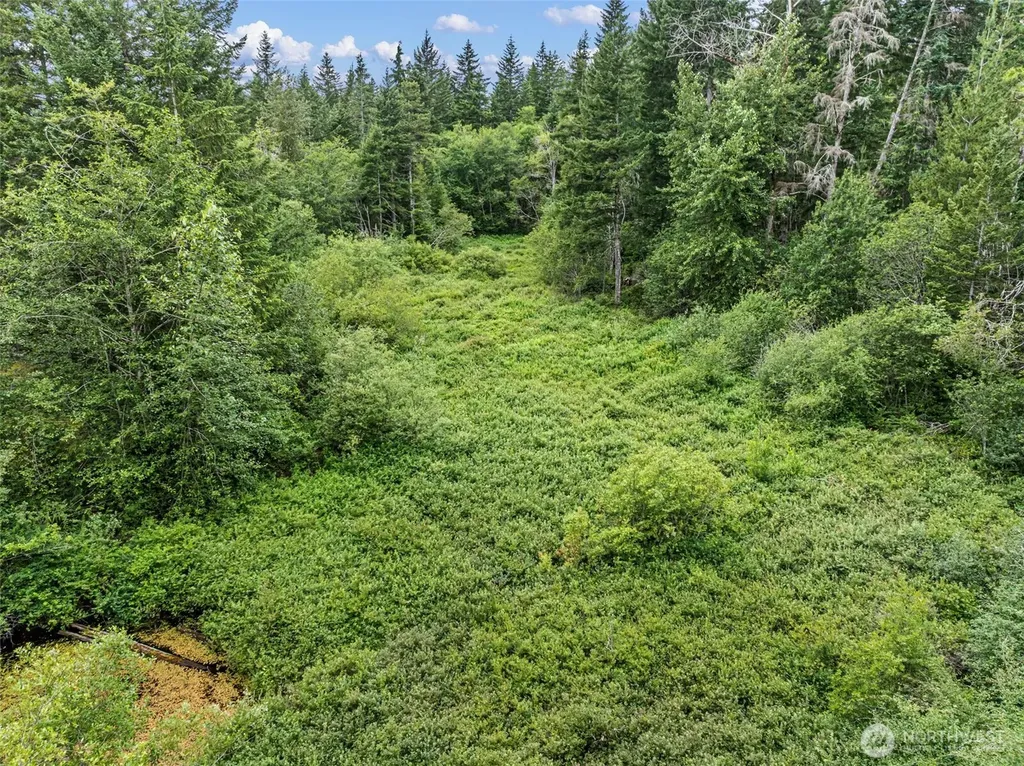 101 NE Smithy Forge Lane Belfair WA 98528