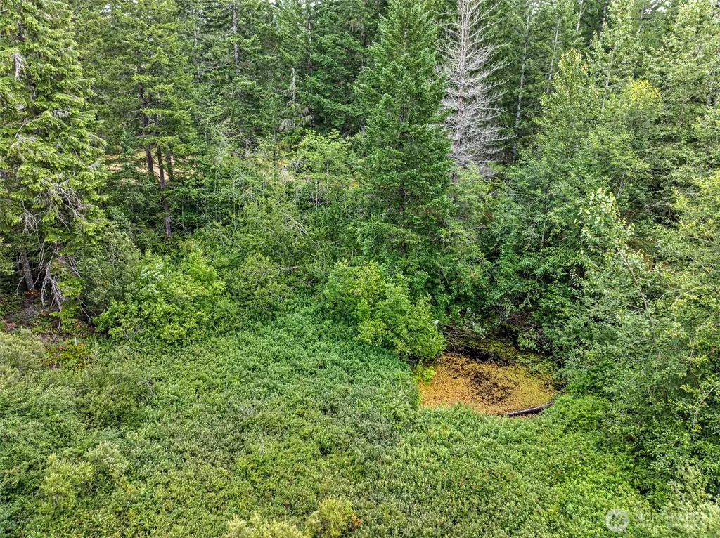 101 NE Smithy Forge Lane Belfair WA 98528