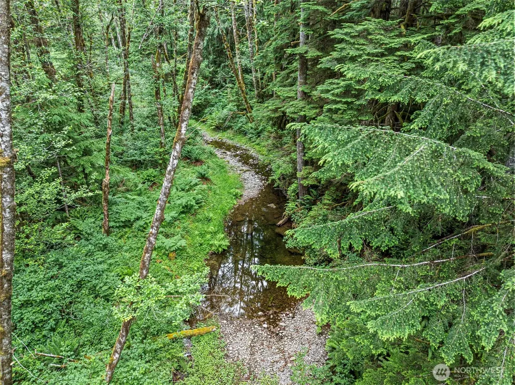 101 NE Smithy Forge Lane Belfair WA 98528