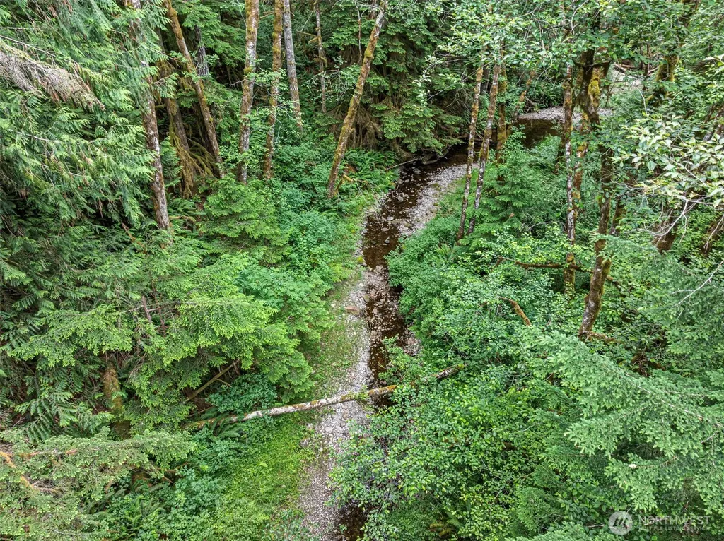 101 NE Smithy Forge Lane Belfair WA 98528