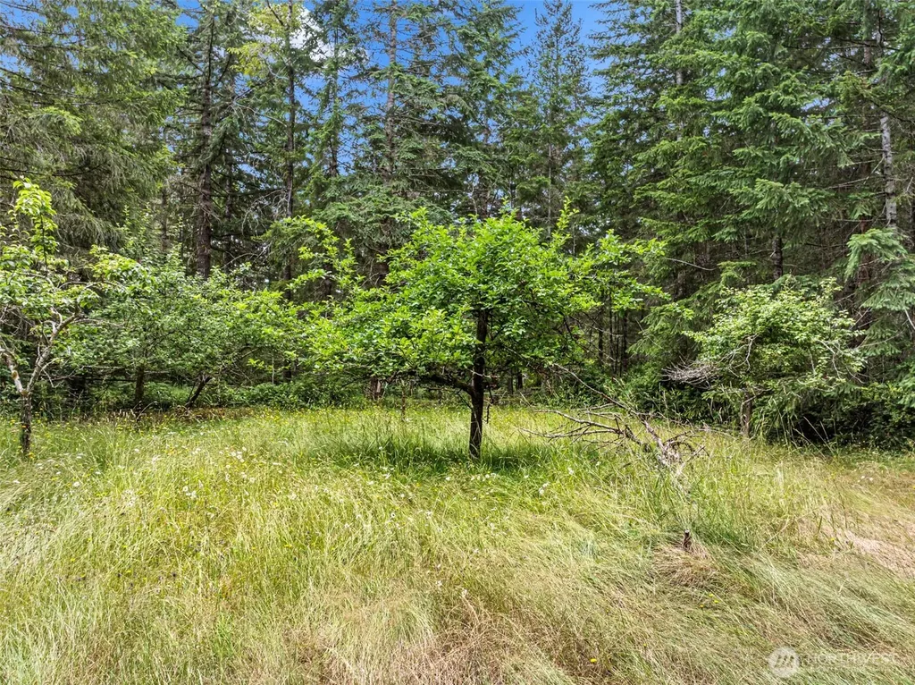 101 NE Smithy Forge Lane Belfair WA 98528