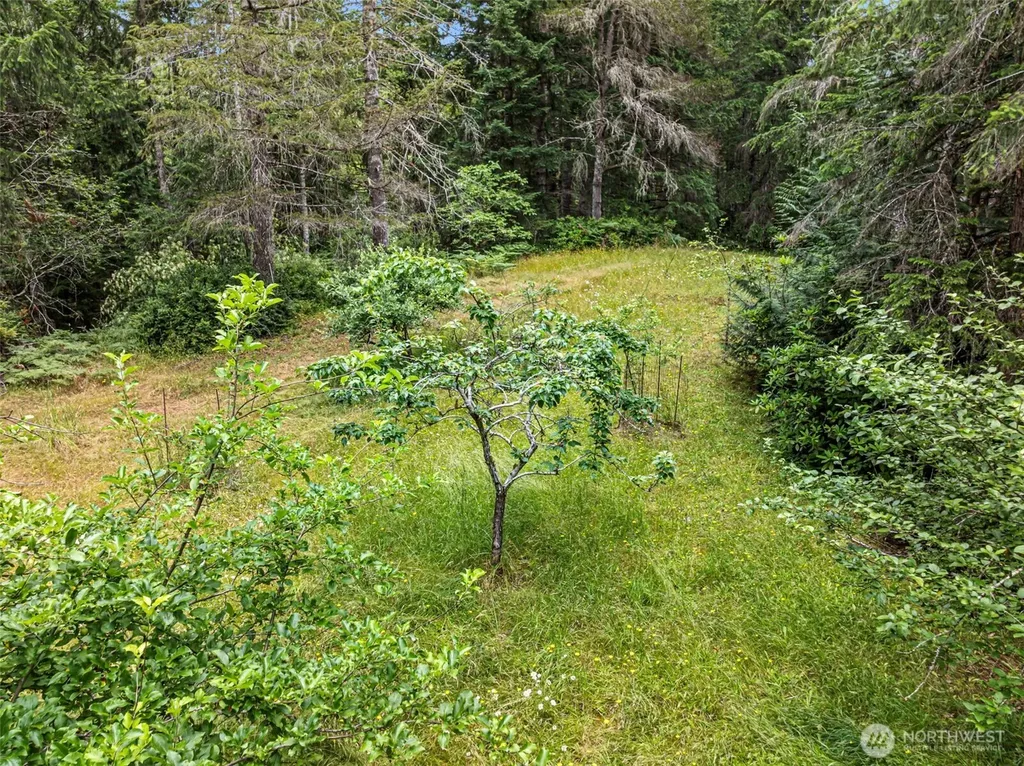 101 NE Smithy Forge Lane Belfair WA 98528