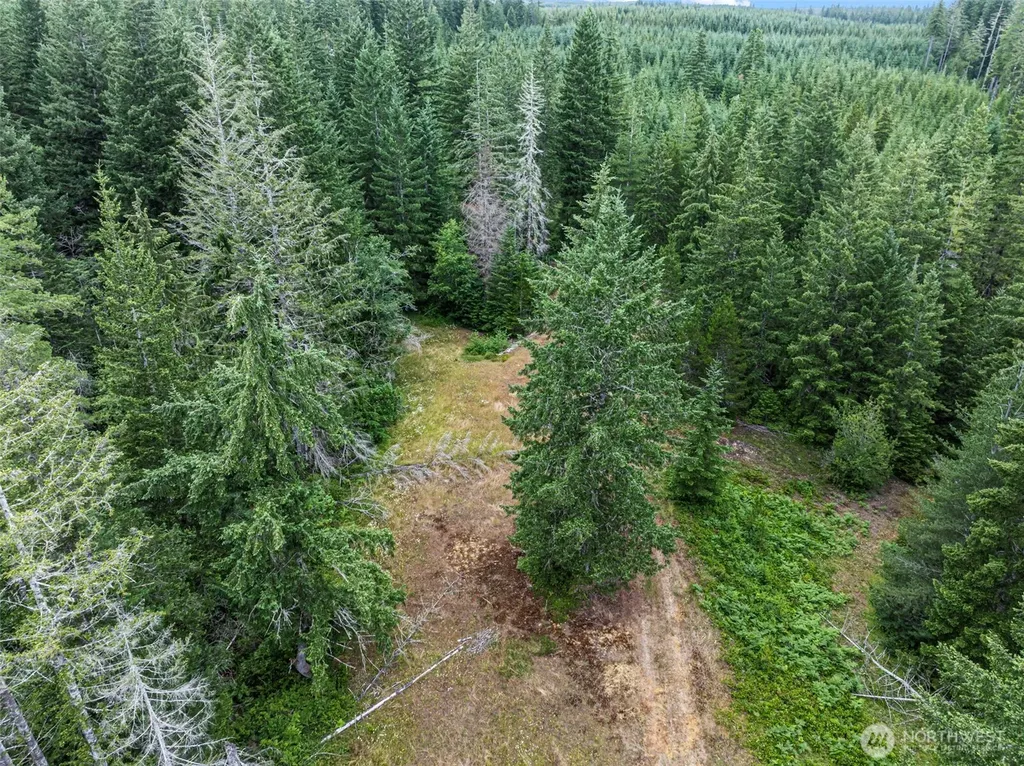 101 NE Smithy Forge Lane Belfair WA 98528