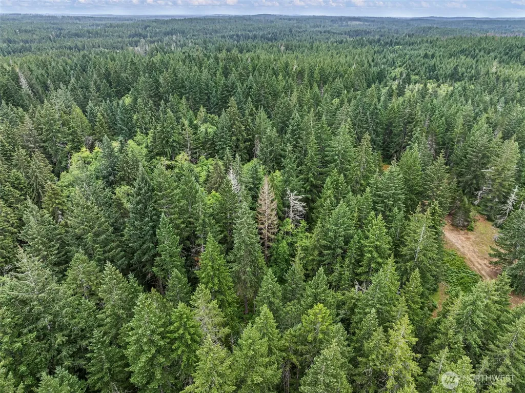 101 NE Smithy Forge Lane Belfair WA 98528