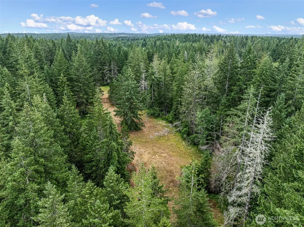 101 NE Smithy Forge Lane Belfair WA 98528