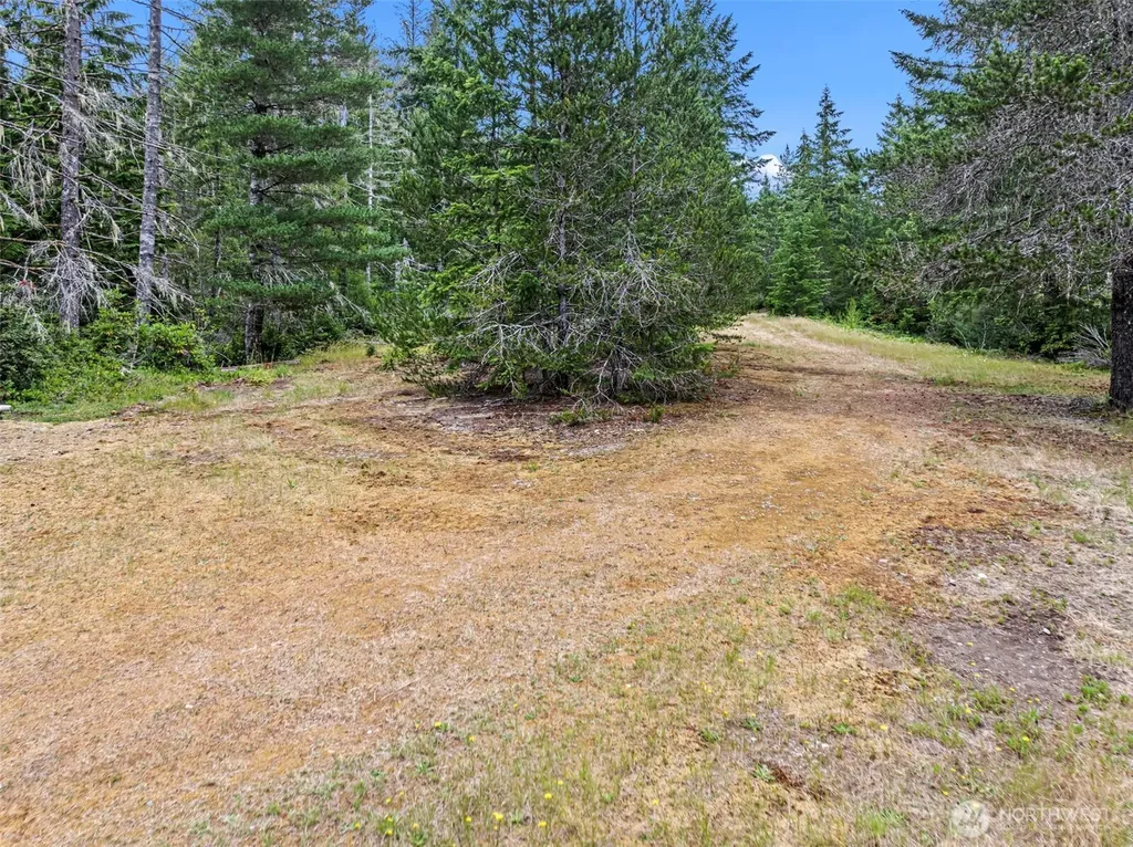 101 NE Smithy Forge Lane Belfair WA 98528