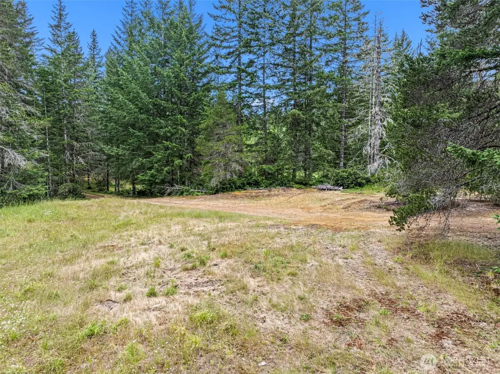 101 NE Smithy Forge Lane Belfair WA 98528