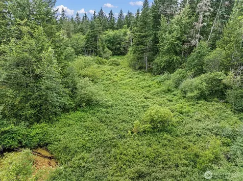 101 NE Smithy Forge Lane Belfair WA 98528