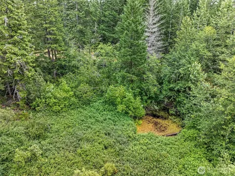 101 NE Smithy Forge Lane Belfair WA 98528