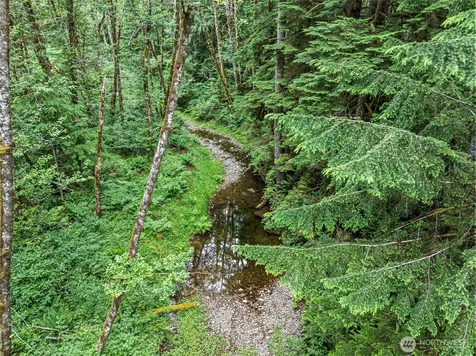 101 NE Smithy Forge Lane Belfair WA 98528