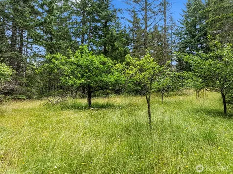 101 NE Smithy Forge Lane Belfair WA 98528