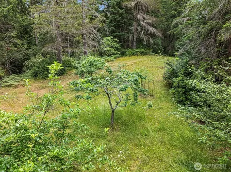 101 NE Smithy Forge Lane Belfair WA 98528
