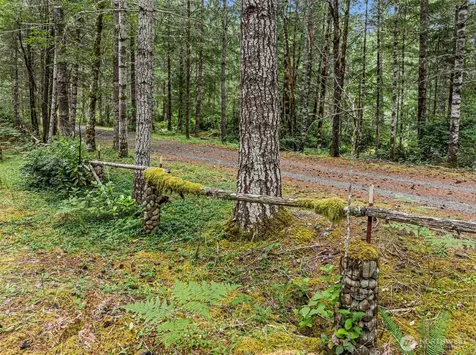 101 NE Smithy Forge Lane Belfair WA 98528