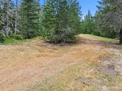 101 NE Smithy Forge Lane Belfair WA 98528