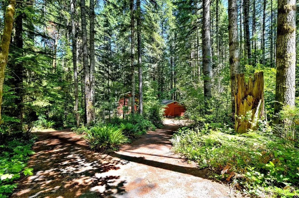 830 N Lake Cushman Road Hoodsport WA 98548