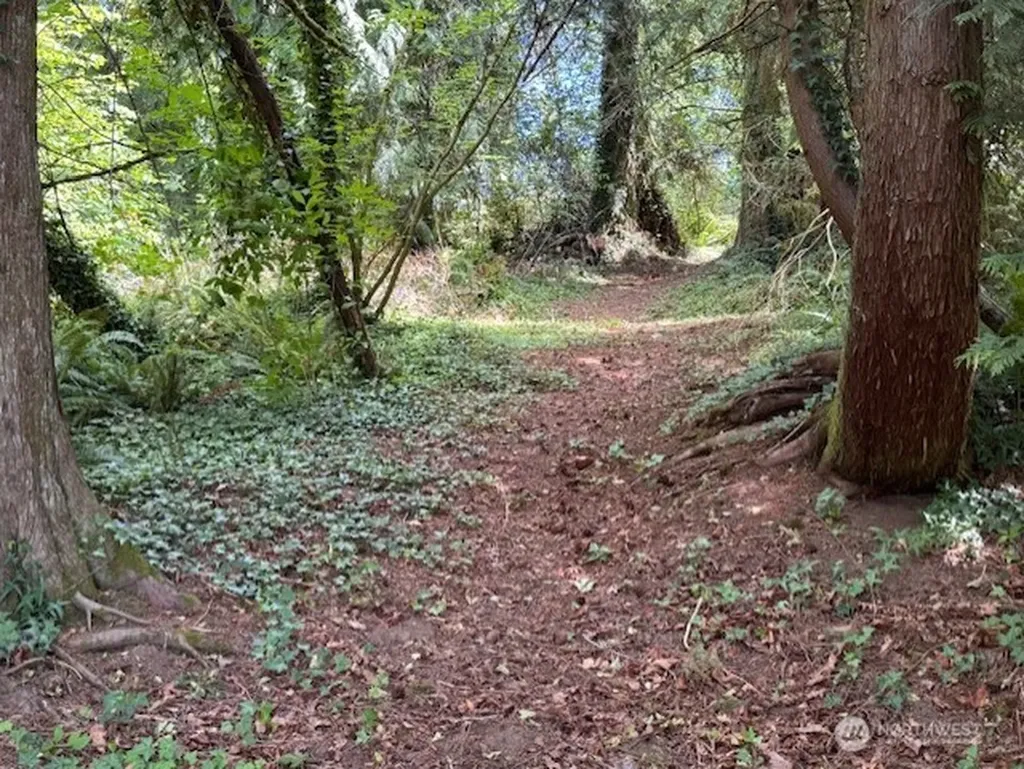 125 Village Road Mossyrock WA 98564