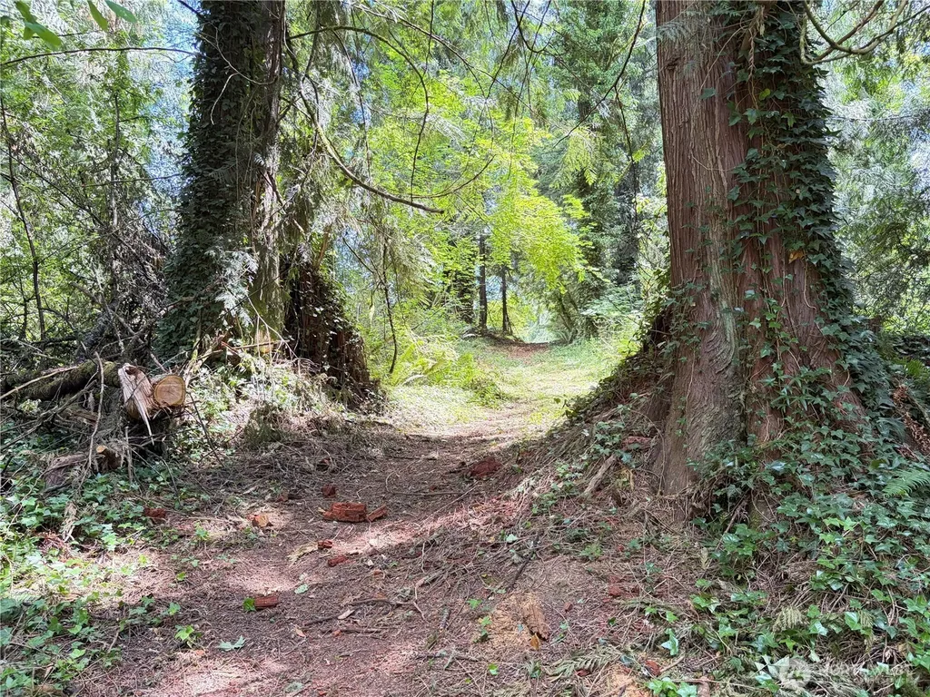 125 Village Road Mossyrock WA 98564