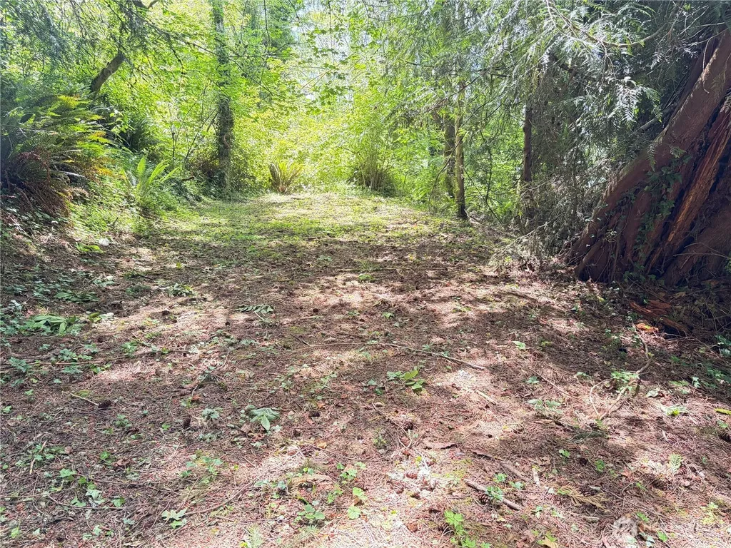 125 Village Road Mossyrock WA 98564