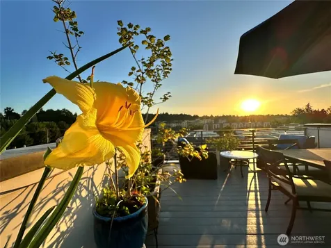 3638 B Courtland Place S Seattle WA 98144