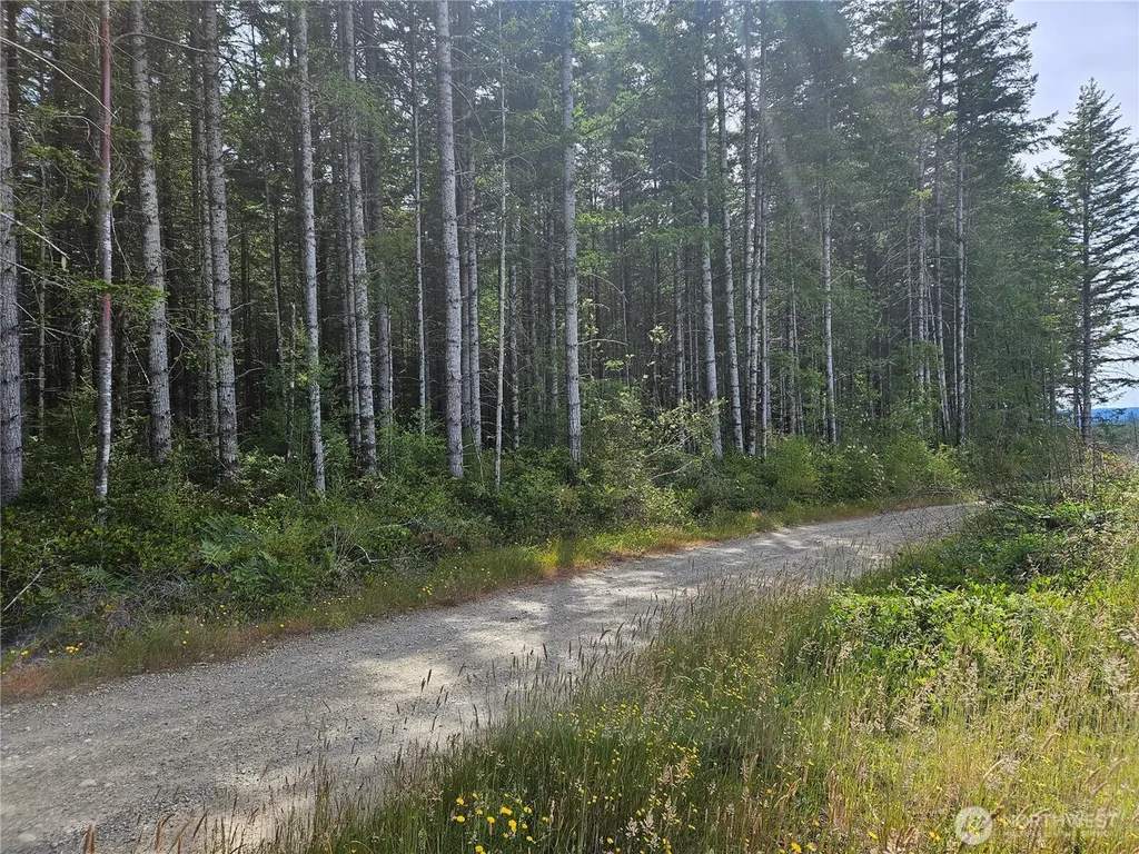 0 L Lee Valley Road Quilcene WA 98376