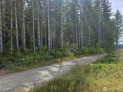 0 L Lee Valley Road Quilcene WA 98376