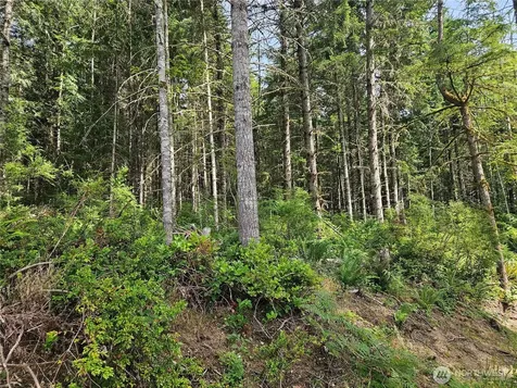 0 L Lee Valley Road Quilcene WA 98376