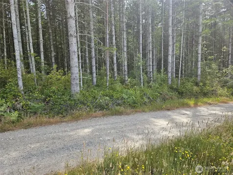 0 L Lee Valley Road Quilcene WA 98376