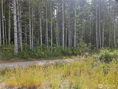 0 L Lee Valley Road Quilcene WA 98376