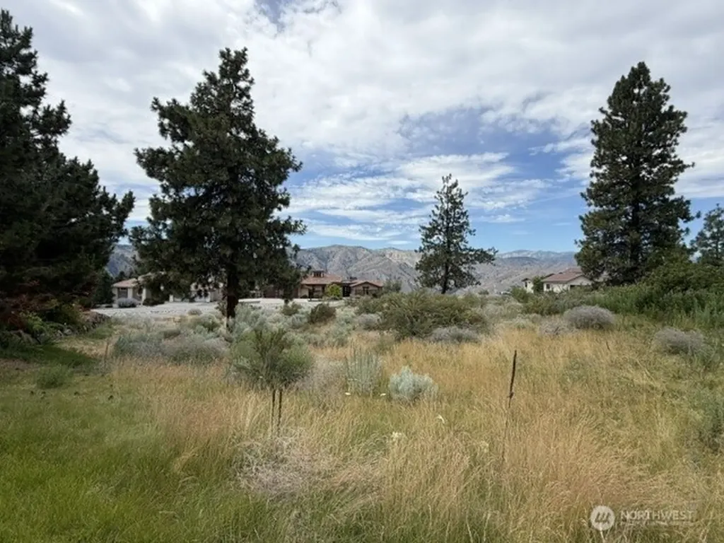 601 Desert Canyon Boulevard Orondo WA 98843