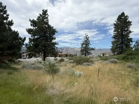 601 Desert Canyon Boulevard Orondo WA 98843
