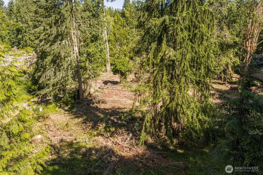244 Fielding Creek Drive Port Angeles WA 98363