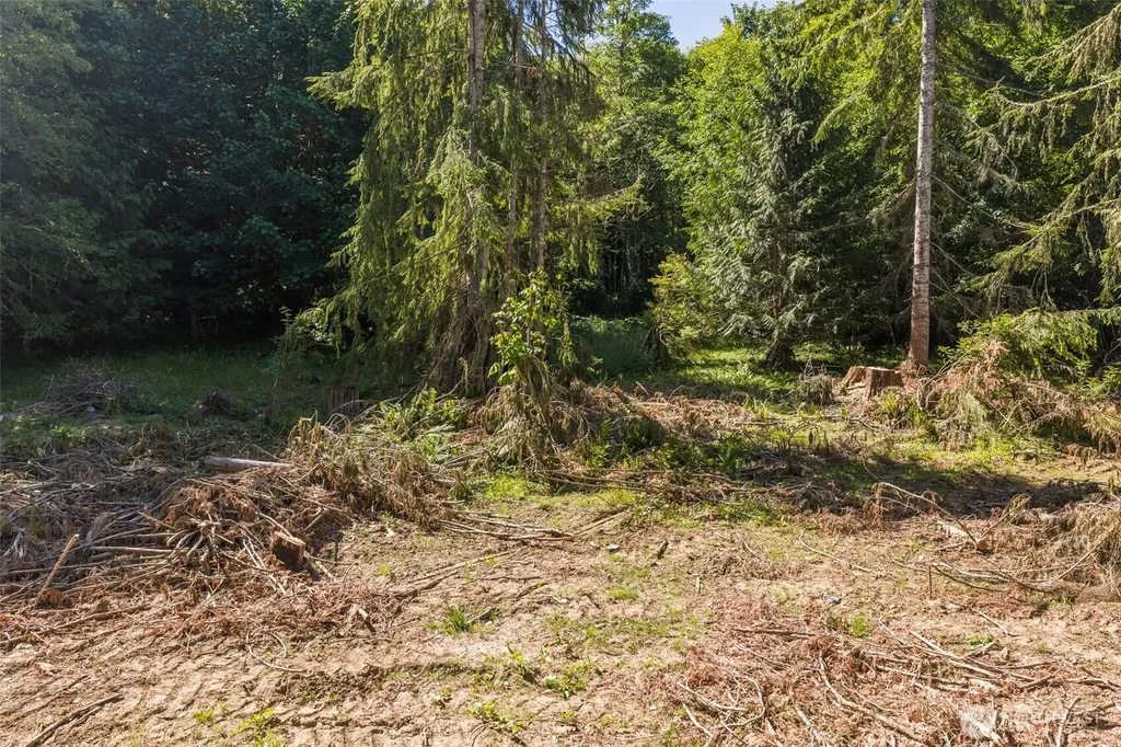 244 Fielding Creek Drive Port Angeles WA 98363