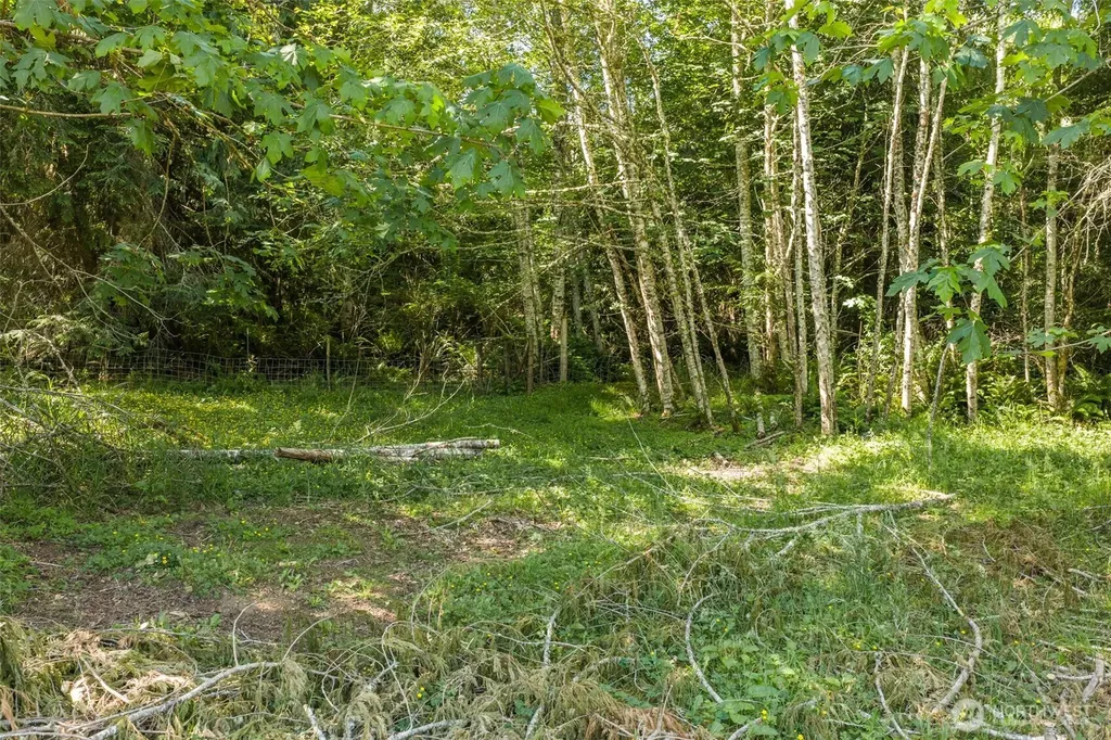 244 Fielding Creek Drive Port Angeles WA 98363