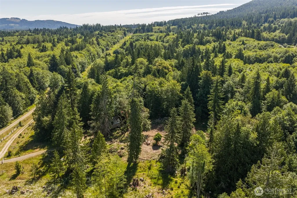 244 Fielding Creek Drive Port Angeles WA 98363